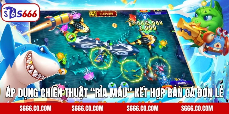 Áp dụng chiến thuật “rỉa máu” kết hợp bắn cá đơn lẻ