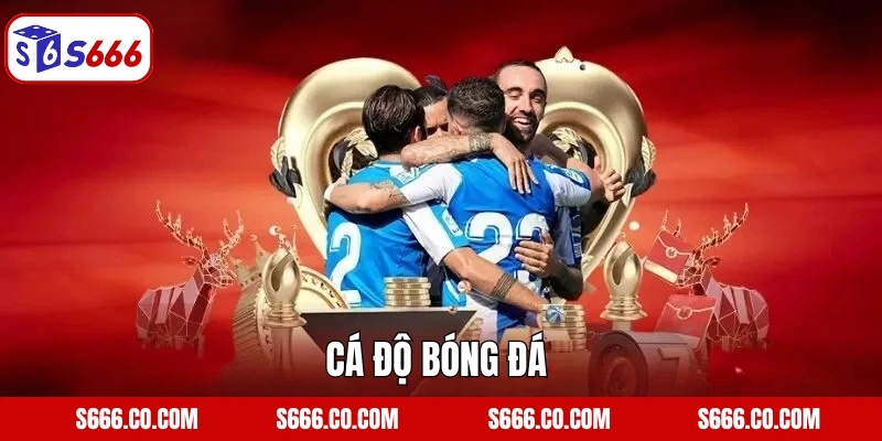 Cá Độ Bóng Đá