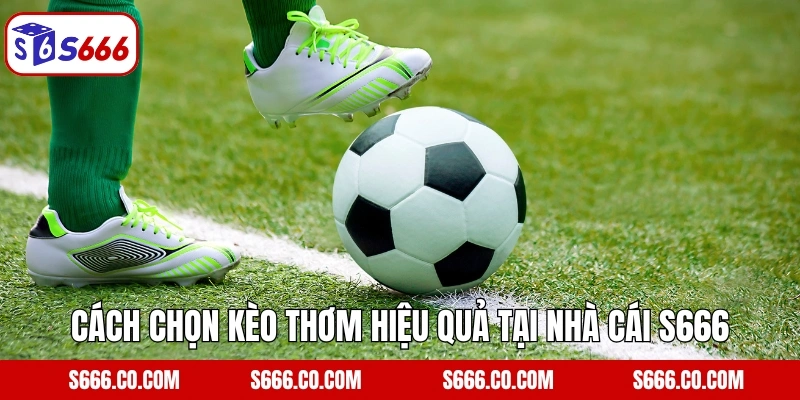 Cách chọn kèo thơm hiệu quả tại nhà cái S666