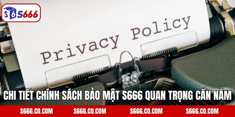 Chi tiết chính sách bảo mật S666 quan trọng cần nắm