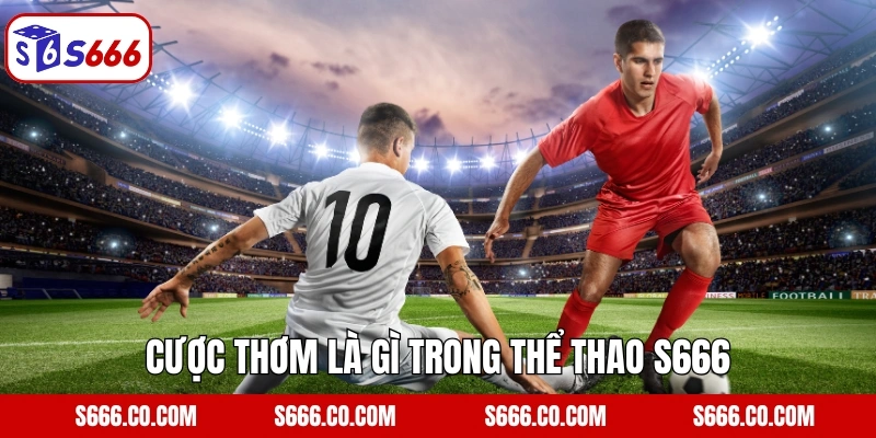 Cược thơm là gì trong thể thao S666
