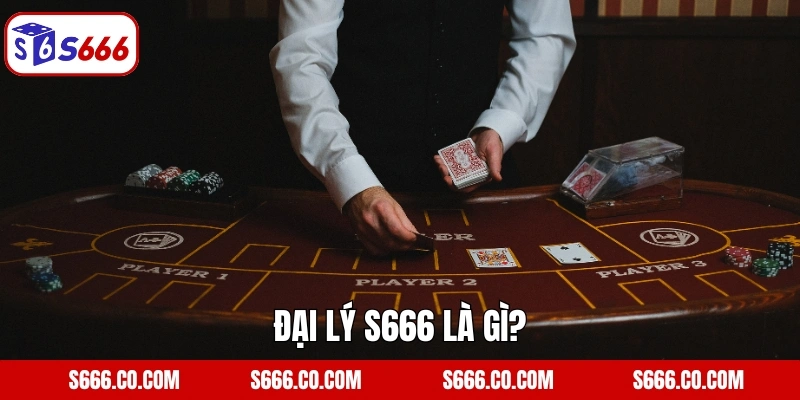 Đại lý S666 là gì?