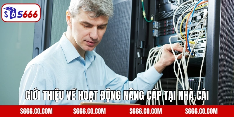 Giới thiệu về hoạt động nâng cấp tại nhà cái