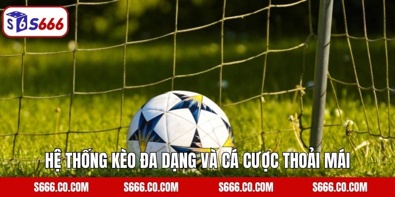 Hệ thống kèo đa dạng và cá cược thoải mái