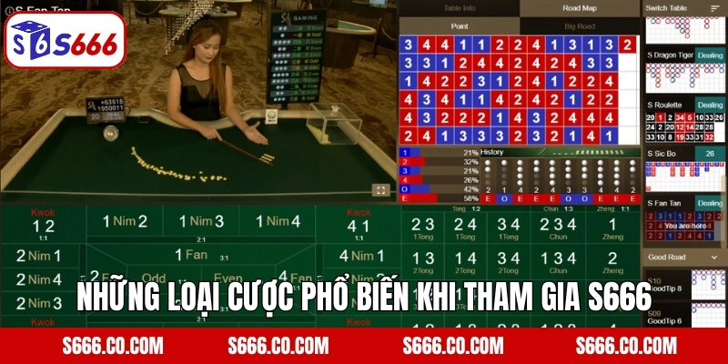 Những loại cược phổ biến khi tham gia S666