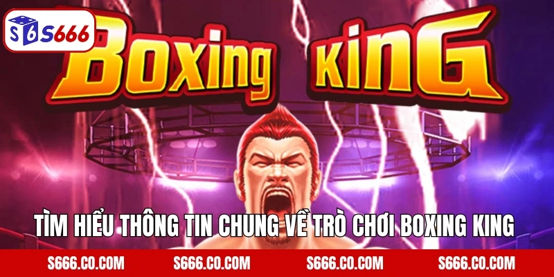 Tìm hiểu thông tin chung về trò chơi Boxing King 