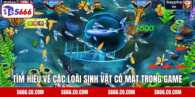 Tìm hiểu về các loài sinh vật có mặt trong Jack Pot Fishing
