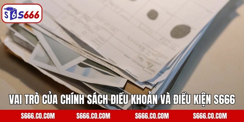 Vai trò của chính sách điều khoản và điều kiện S666