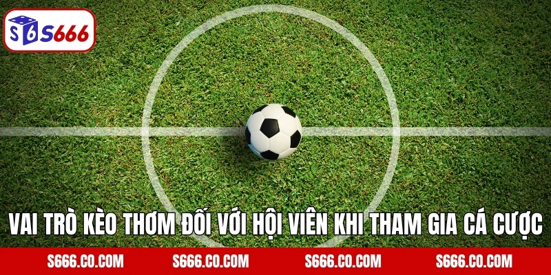 Vai trò kèo thơm đối với hội viên khi tham gia cá cược