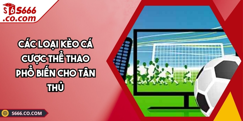 Các Loại Kèo Cá Cược Thể Thao