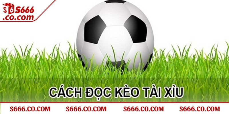 Tỷ lệ cược ở kèo tài xỉu bóng đá dễ hiểu